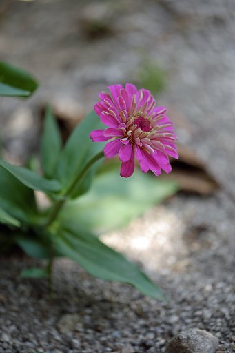 8月17日の写真