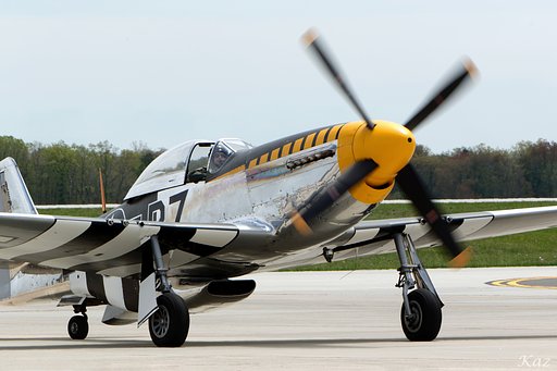 Mustang