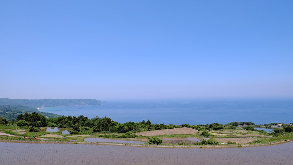 棚田