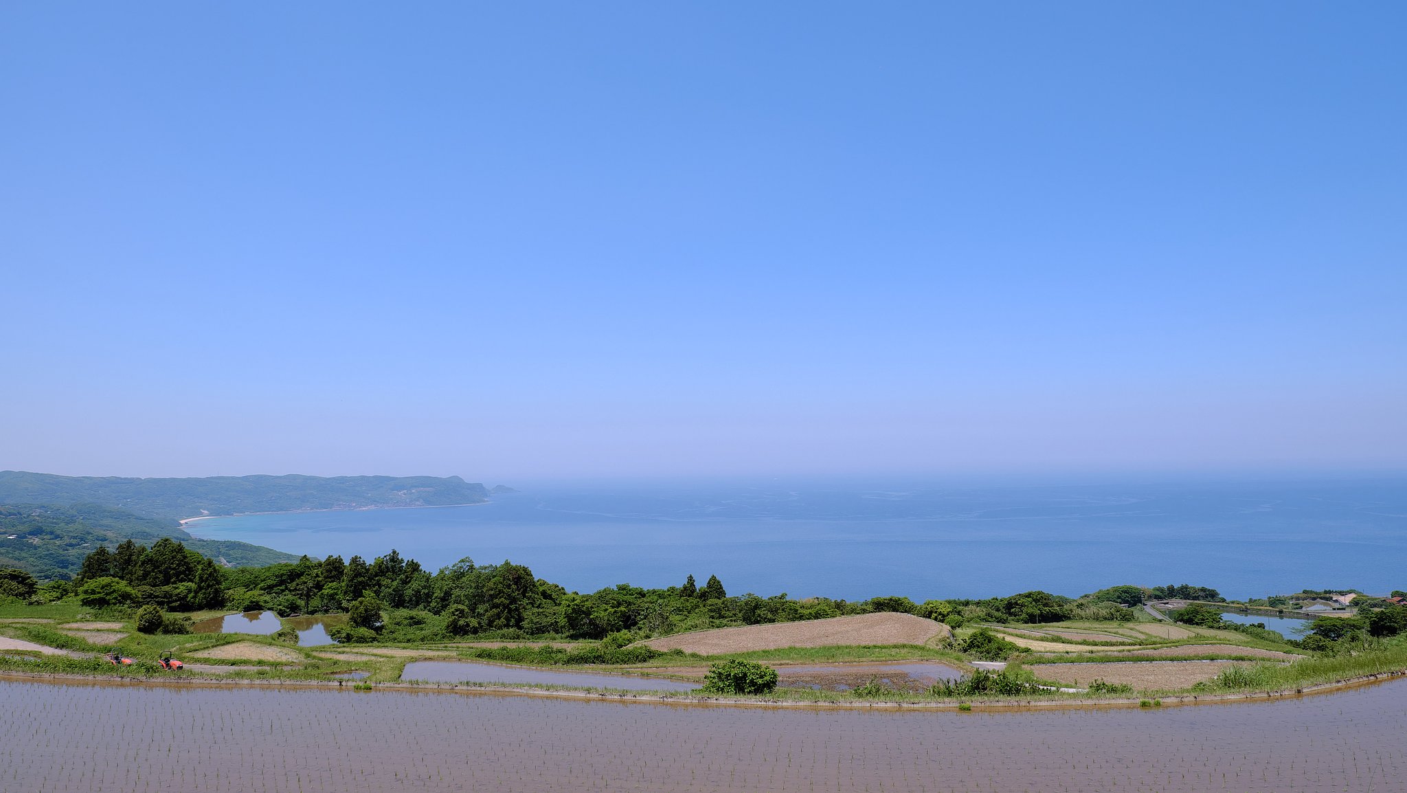 棚田