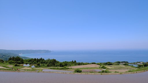 棚田