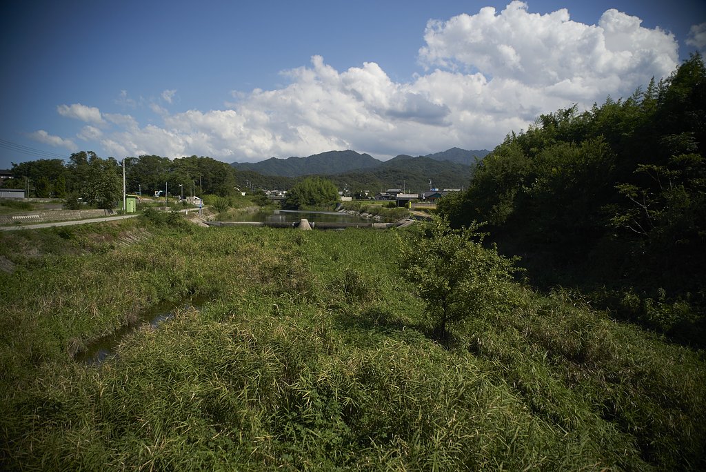雑景