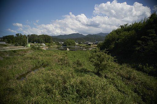 雑景