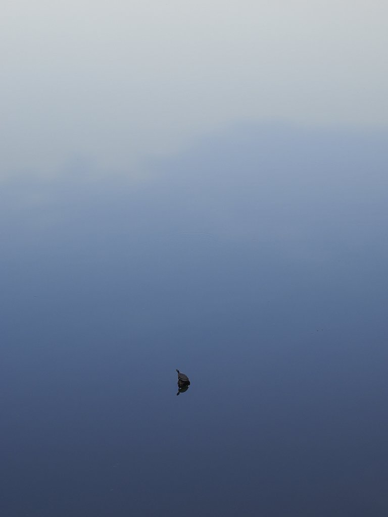 溜池