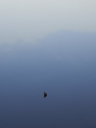 溜池