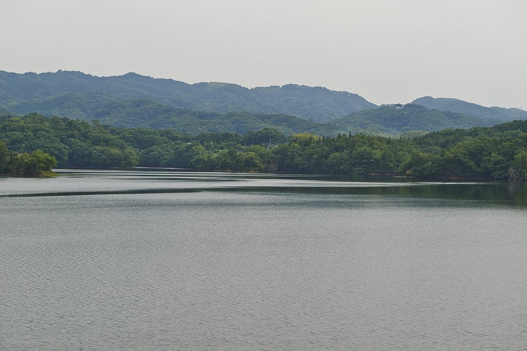 溜池散歩