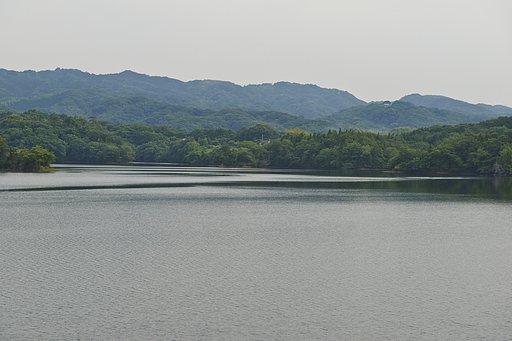 溜池散歩