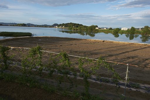 溜池散歩