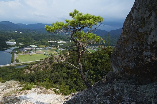 散歩撮影