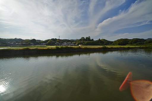 溜池散歩
