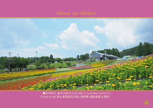富士見高原３