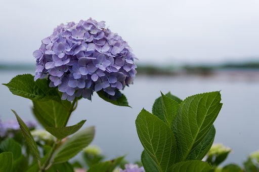 SIGMA 30mm F1.4 DC HSM
