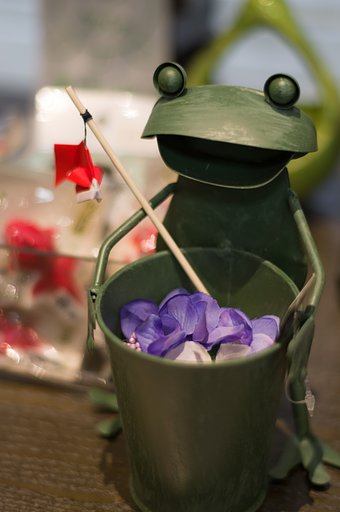 PENTAX-DA 50mmF1.8