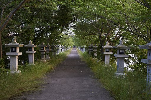散歩撮影