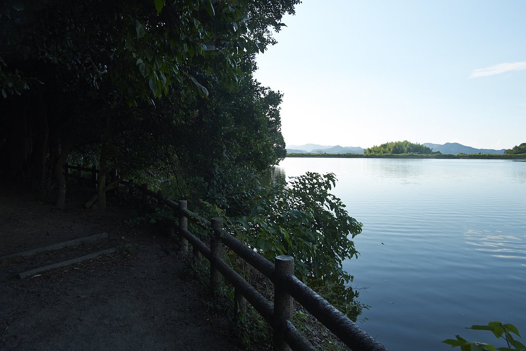 溜池遊記