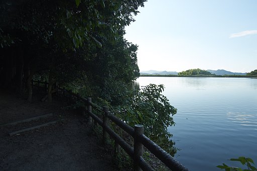 溜池遊記
