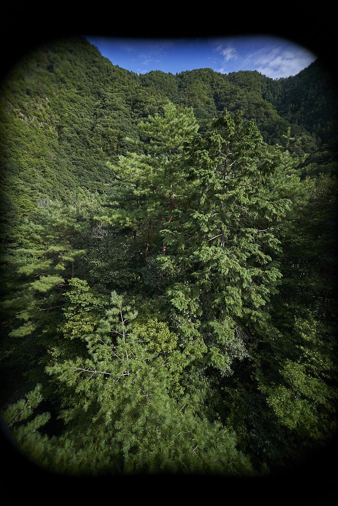 里山撮影
