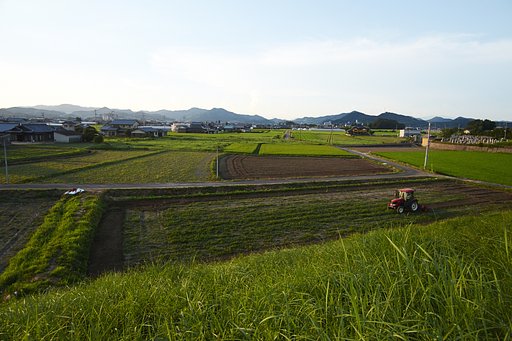 溜池遊記