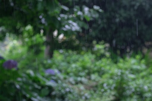 雨の土曜日