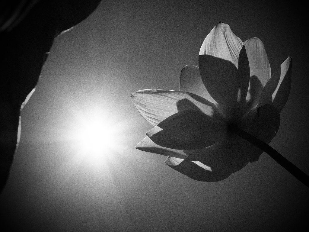 光芒
