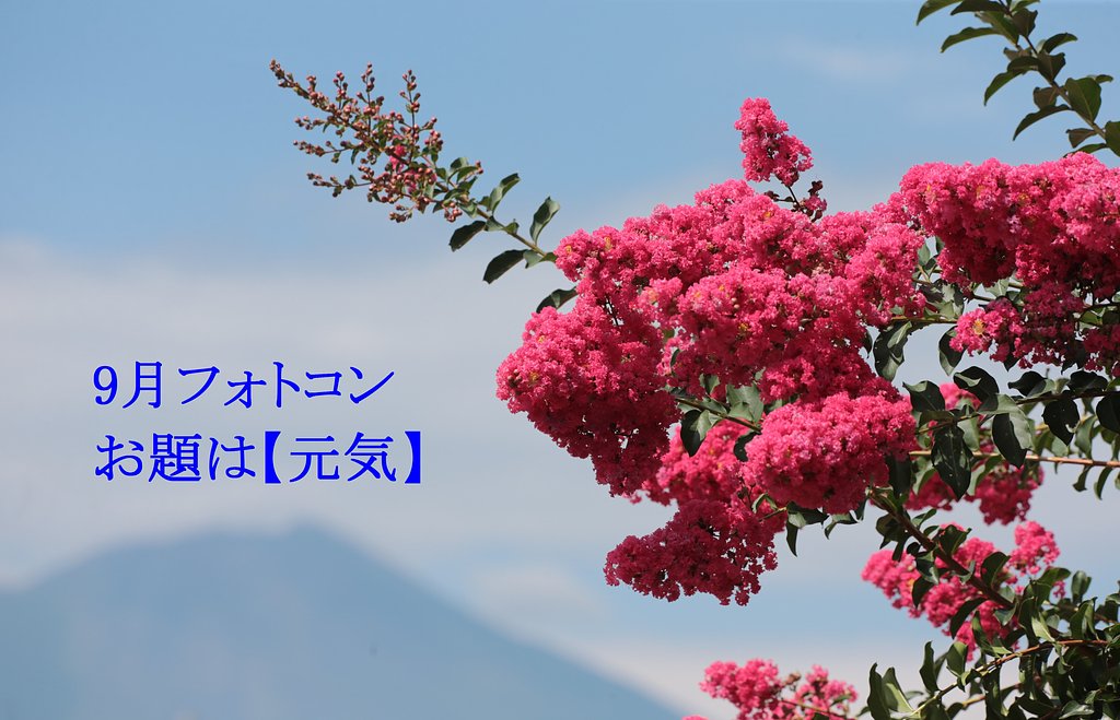 9月フォトコンへのお誘い