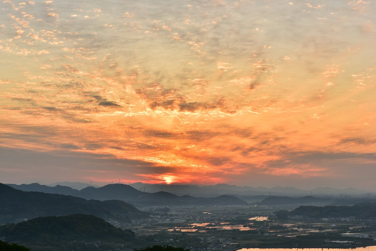 田植えの季節