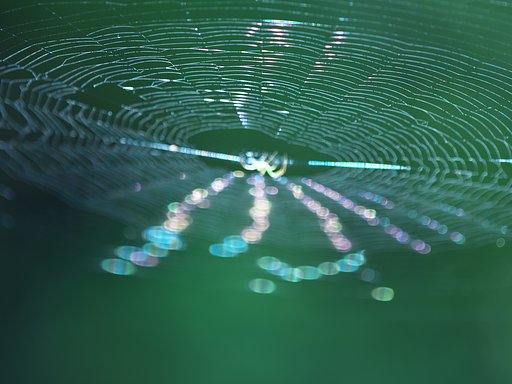 蜘蛛巣城2