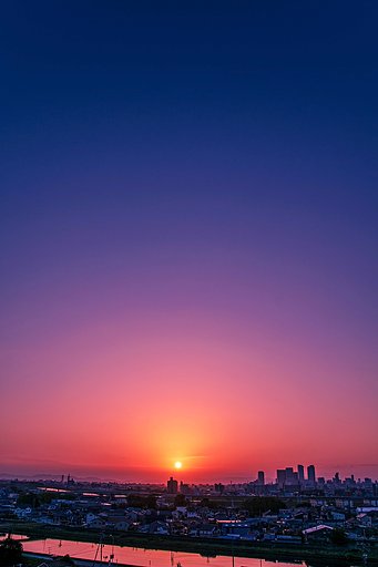 【花・空のある写真】今日日の出１０分後