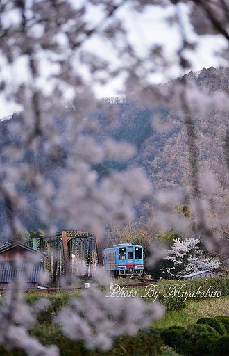 最後の一枚