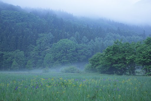 幕の降りて開きけり
