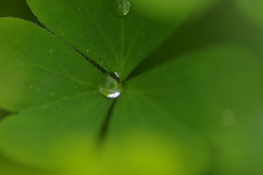 雨上がり