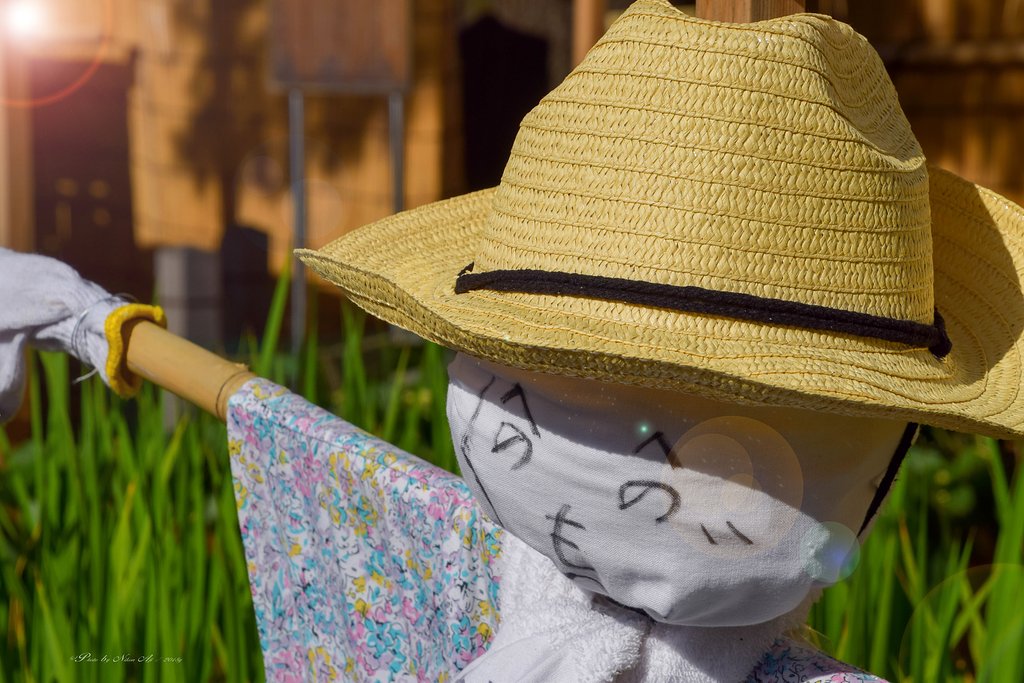 実りの保護には”へのへのもへじ”