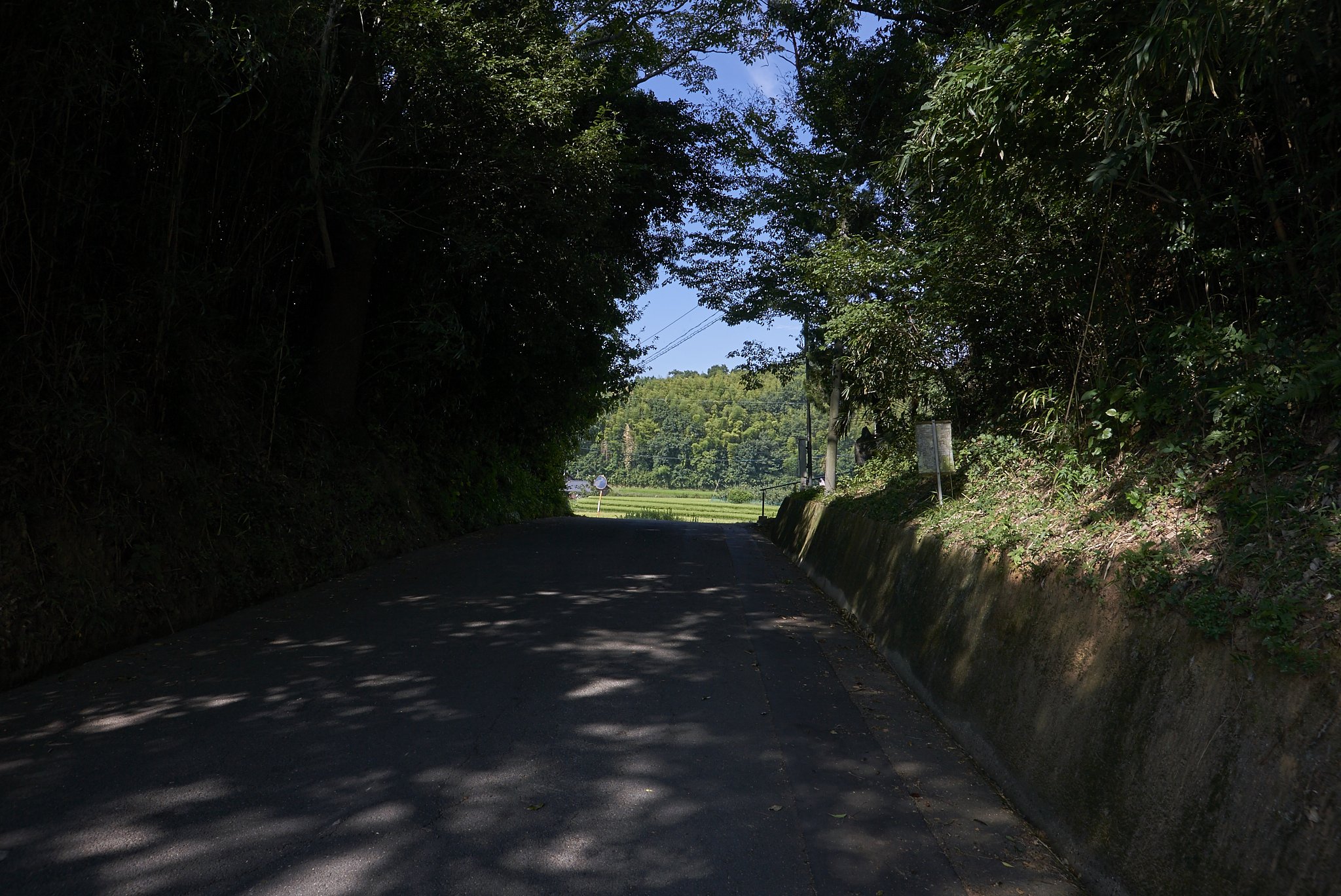 暑かった夏も終わりに・・