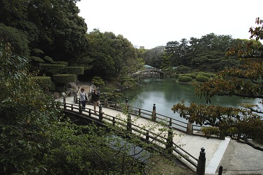 6月6日の写真