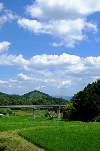 田舎