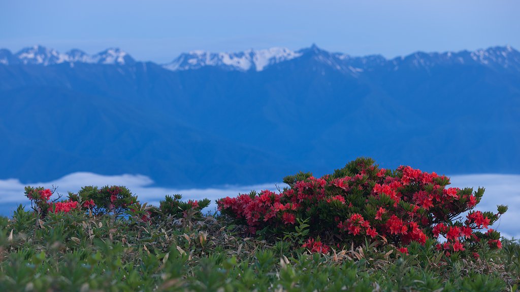 EF70-200F2.8L