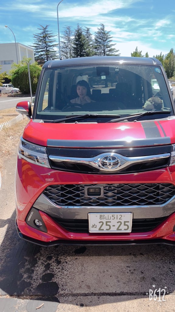危険な煽り運転車