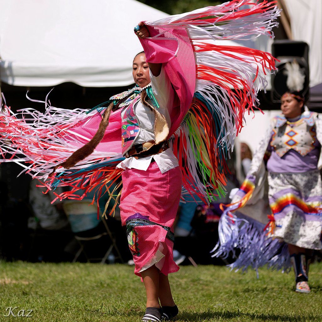 Prairie Dancer