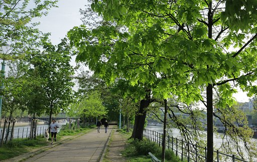 【散歩】セーヌの朝