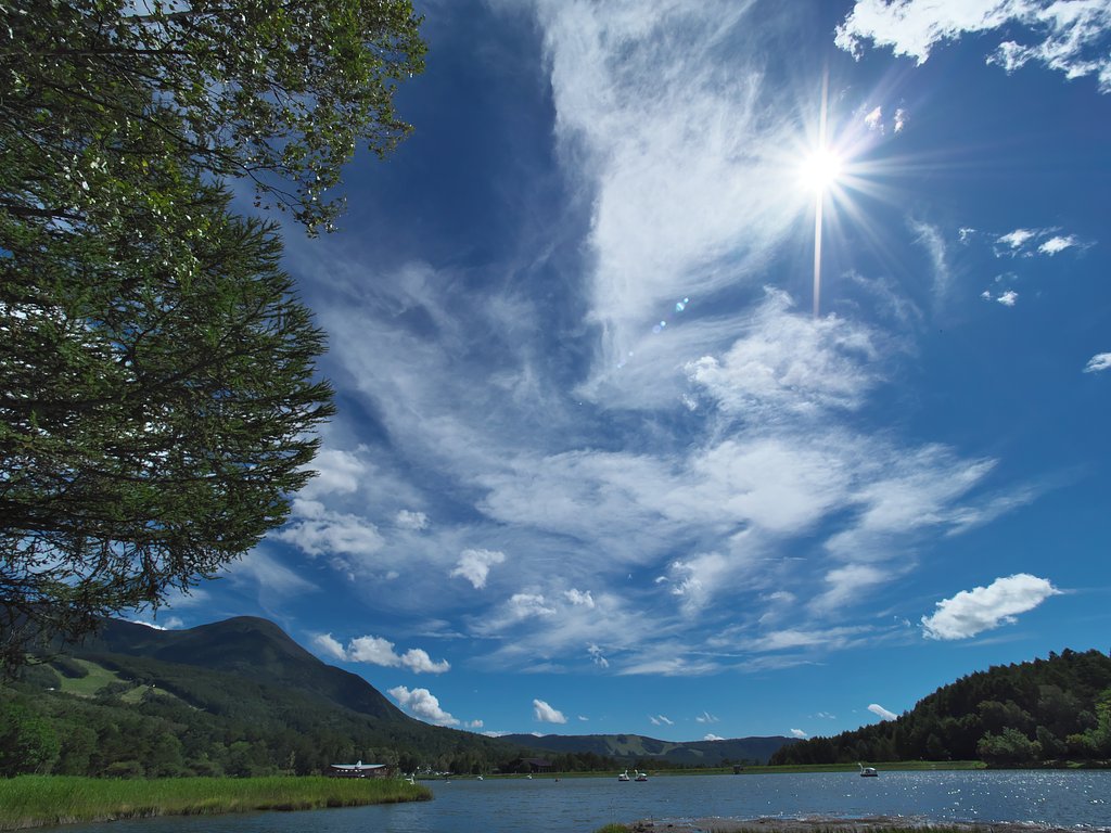 ED7-14mm F2.8 Pro