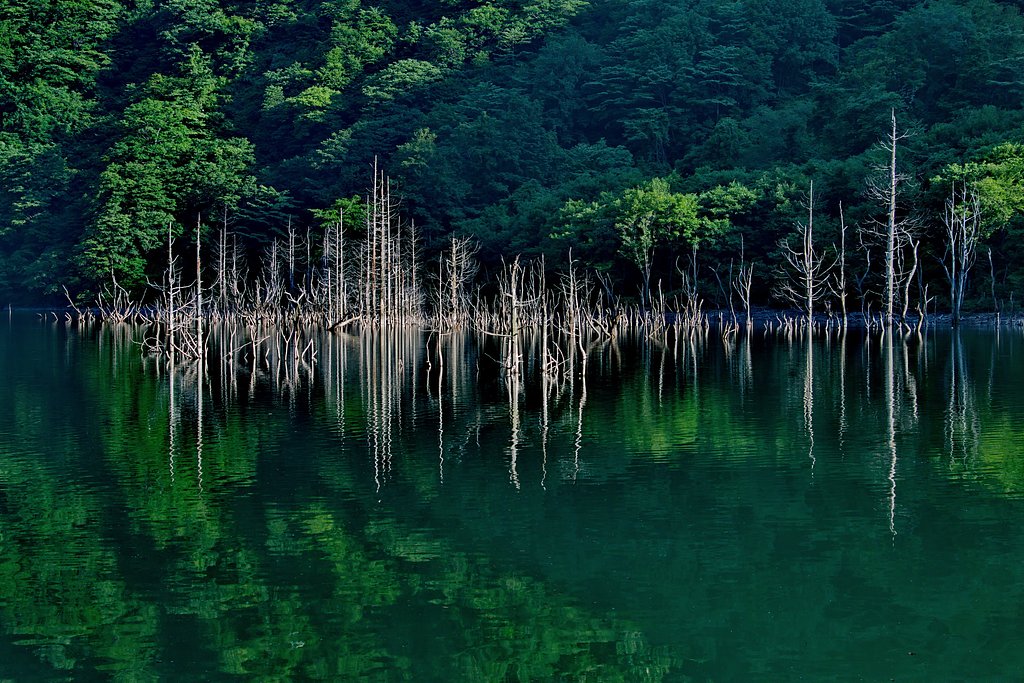 幻想的な風景1