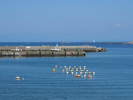 「バリオ」の海