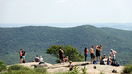 【盛夏】Bear Mountain