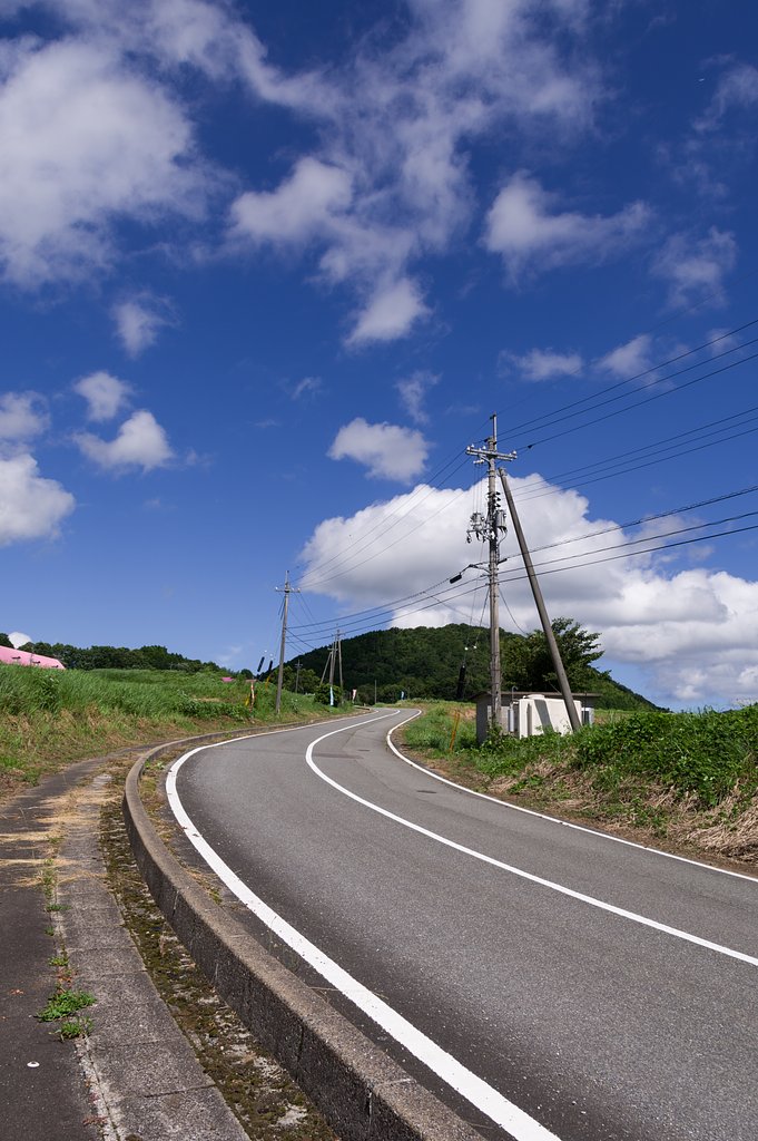 ドライブ