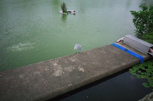 9月17日の写真