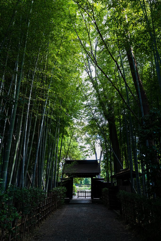 EF24-70mm F4 L IS