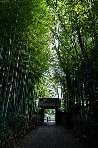 EF24-70mm F4 L IS