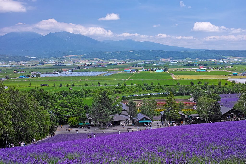 中富良野