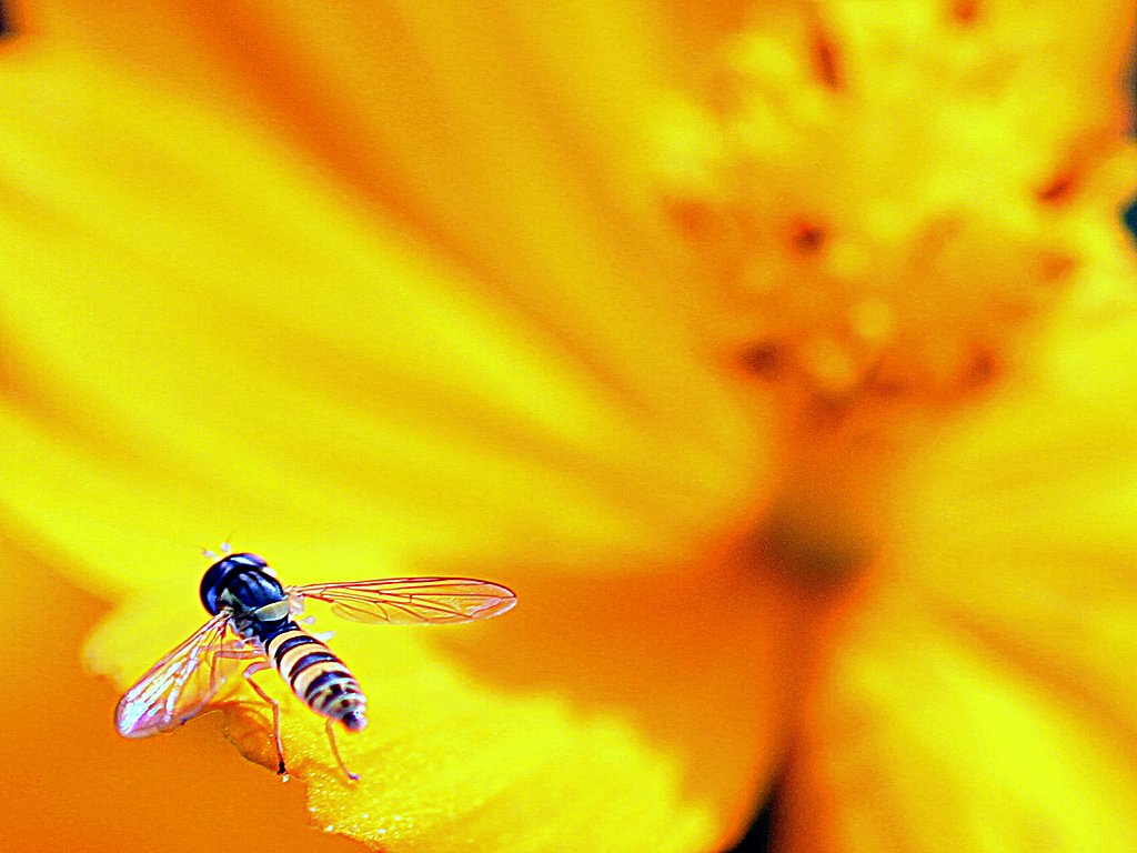 今朝の【元気】