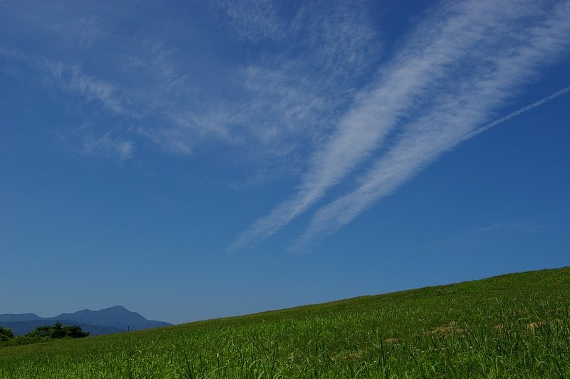 故郷の山